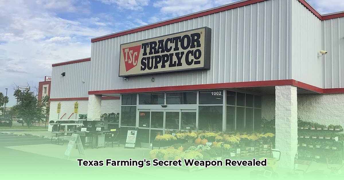 tractor-supply-nederland-texas